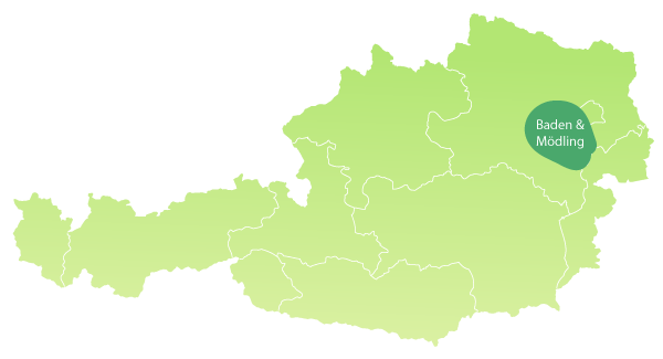 einzugsgebiet pflege baden